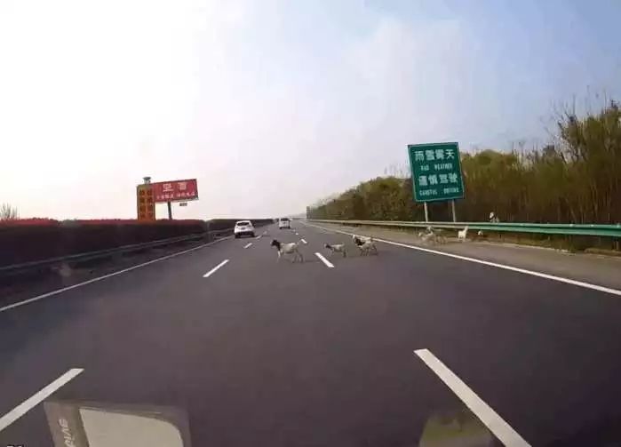 开云电竞官方网站