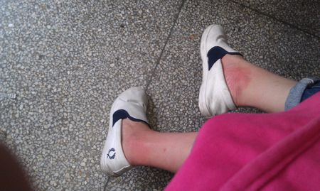 开云电竞官方网站