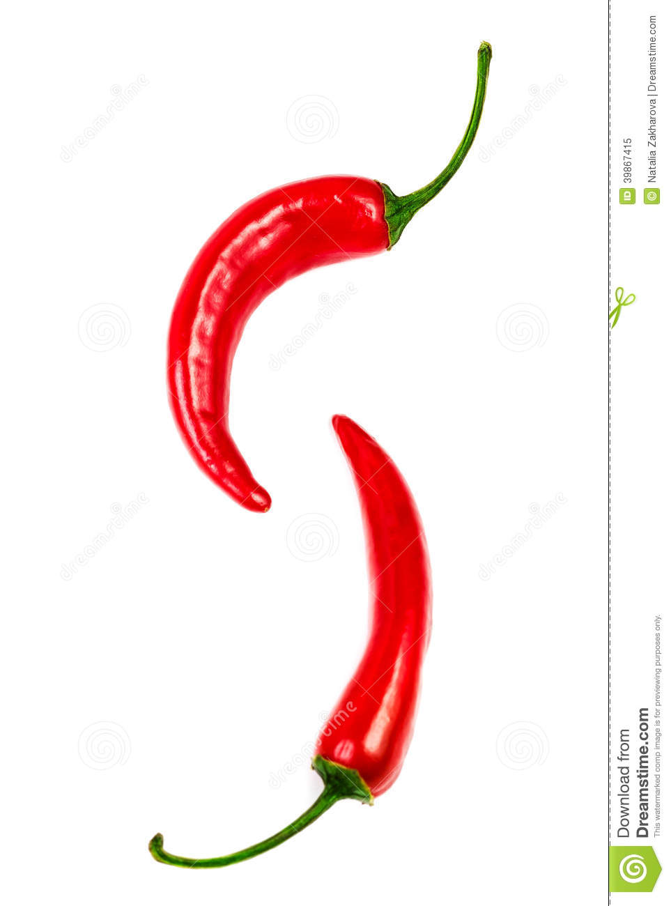 开云电竞官方网站