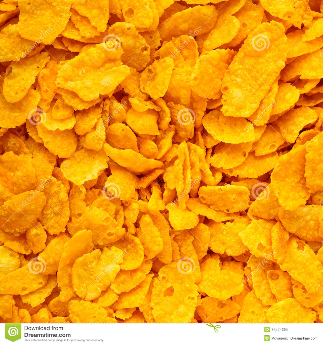 开云电竞官方网站